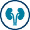 Renal impairment icon